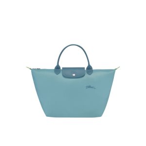 Borse A Mano Longchamp M Thunderstorm Recycled canvas Blu | 68095-CHZX