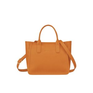 Borse A Mano Longchamp Saffron Pelle Arancioni | 39564-FPAZ