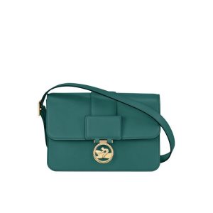 Borse Crossbody Longchamp M Pelle Grigie Verdi | 93705-SRKY