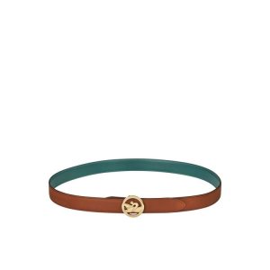 Cinture Longchamp Pelle Marroni Grigie Verdi | 85643-HMSF