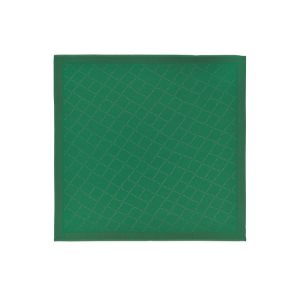 Sciarpe Longchamp Shawl Silk Blend Verdi | 04985-GKFY